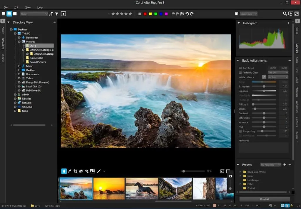 Corel AfterShot Pro 3 | RAW Photo Editing Software [PC/Mac Key Card]