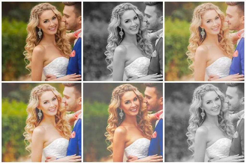 Corel AfterShot Pro 3 | RAW Photo Editing Software [PC/Mac Key Card]