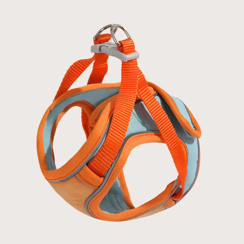 Gentle Paws™ Anti Escape Harness & Leash