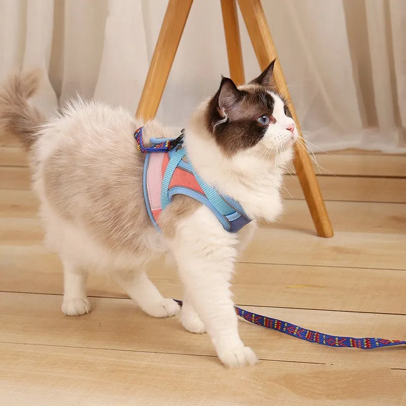 Gentle Paws™ Anti Escape Harness & Leash